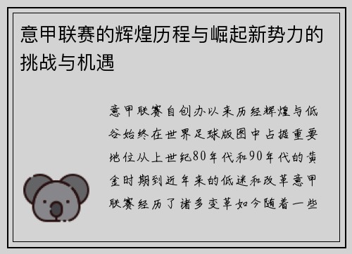 意甲联赛的辉煌历程与崛起新势力的挑战与机遇