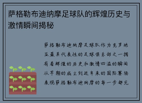萨格勒布迪纳摩足球队的辉煌历史与激情瞬间揭秘 萨格勒布迪纳摩足球队的辉煌历史与激情瞬间揭秘